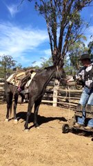 Paraplegic Bonds With Horse
