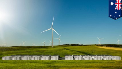Tesla to build world’s largest battery in Australia in 100 days