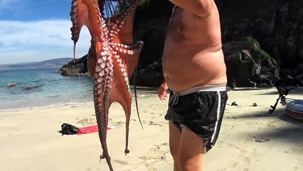 Denizde Koluna Ahtapot Yapıştı