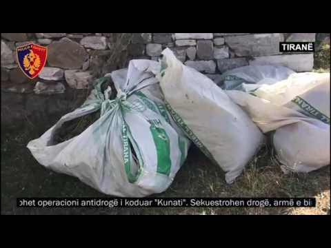 “Kunati”, arrestohen dy persona me drogë dhe armë