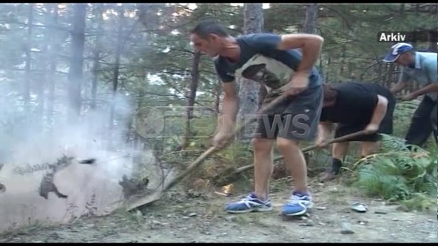 Ora News - Zjarret “pushtojnë” vendin, Emergjencat: 11 vatra zjarri në 24 orë