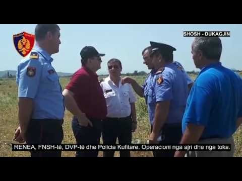 Çako merr pjesë në monitorimin e operacion antidrogë nga ajri, sekuestrohen 920 bimë kanabis