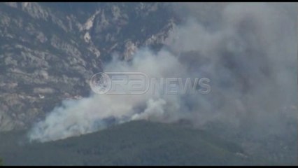 Digjet një sipërfaqe me pisha dhe shkurre në Laç, ndërhyn ushtria