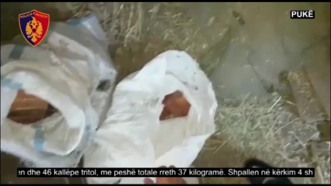 Ora News - Pukë, 170 kg kanabis dhe 37 kg tritol në banesë, në kërkim 4 vëllezër