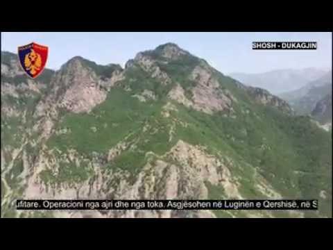 Operacion masiv - Çako ngjet RENEA-n në Dukagjin, asgjeson 920 bimë kanabis