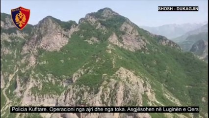 Operacion masiv - Çako ngjet RENEA-n në Dukagjin, asgjeson 920 bimë kanabis