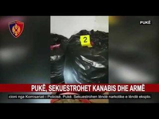 PUKË, SEKUESTROHET KANABIS DHE ARMË