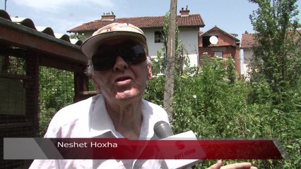 11 familje në lagjen e Gërqarëve në hall me ujërat e zeza - Lajme