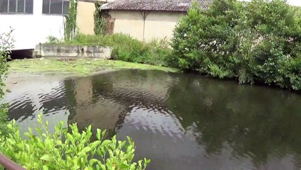 2017-06-25 Port-Plaisance Auxerre