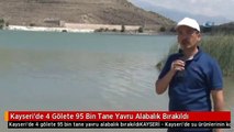 Kayseri'de 4 Gölete 95 Bin Tane Yavru Alabalık Bırakıldı