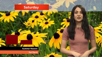 Teesside News 8.30pm - 7th July