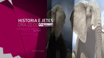 Sonte ne Tring| E Marte 4 Korrik 2017