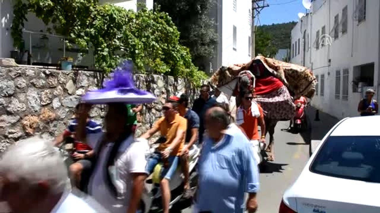 Bodrum'da 50 Yıldır Çeyizler Deve Sırtında Taşınıyor