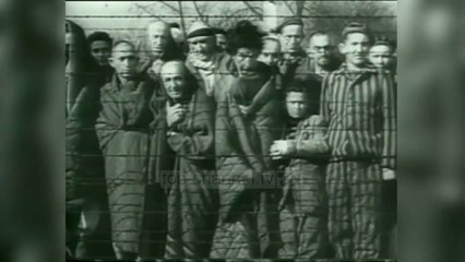 Videoja kontroverse e kongresmenit amerikan në Aushvic - Top Channel Albania - News - Lajme