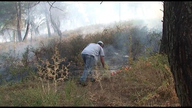 Dhjetëra vatra zjarri në 24 orët e fundit - Top Channel Albania - News - Lajme