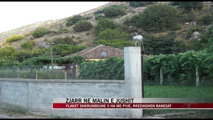 Zjarr në malin e Jushit - News, Lajme - Vizion Plus