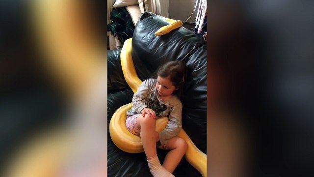 Une petite fille regarde la télé tranquillement avec son Boa de 3 mètres !