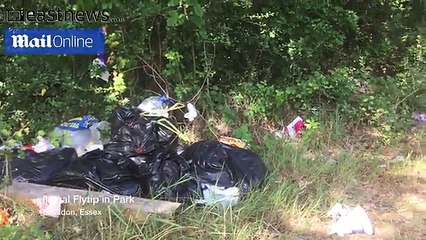 Travellers charge people £30 to illegally dump rubbish in park