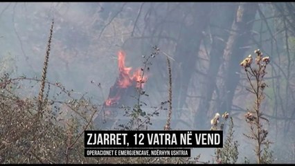Moti i nxehtë, shuhen 12 vatra zjarri - Top Channel Albania - News - Lajme