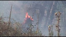 EC: 10 vatra zjarri në 24 orët e fundit - Top Channel Albania - News - Lajme