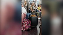 Un chien prend le métro dans une valise !