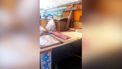 Ce poisson est vraiment très frais !