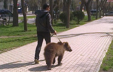 Crazy things you will only see in Russia (part 1)