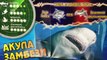 Y ★ tiburón a Maxi de apertura DeAgostini extiende tiburones de publicidad