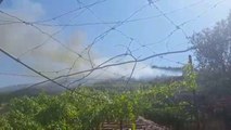 Tepelenë, riaktivizohen vatrat e zjarrit - Top Channel Albania - News - Lajme