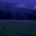 Spectacular Firefly Encounter in Rural Pennsylvania