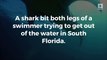 Shark attacks man, bites both legs in South Florida