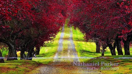 Nathaniel Parker ~Try Me