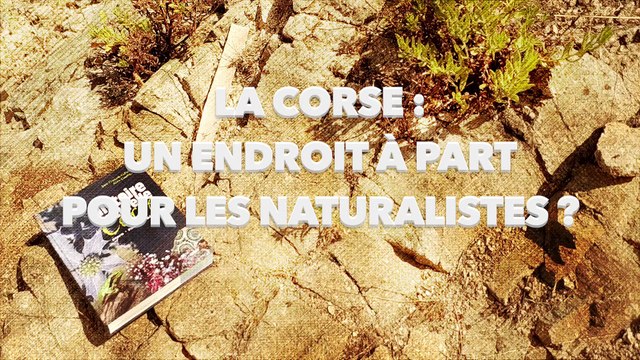 VIDEO : mise en valeur de la nature sacrée l'île en images et en mots