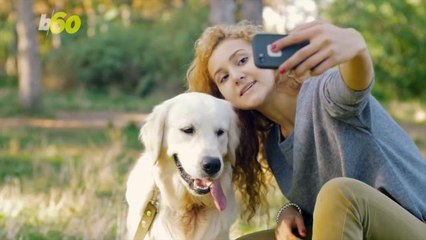 Your Dog May Be A Better Judge Of Character Than You Are