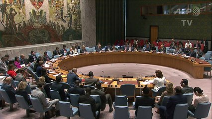 ONU aprueba misión en Colombia para ayudar a reinserción de FARC