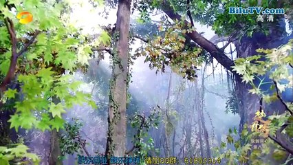 xem phim Đặc Công Hoàng Phi Sở Kiều Truyện tập  51 nhấn vào link dưới để xem