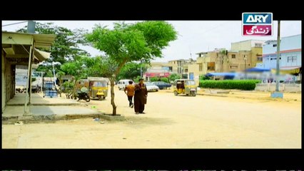 Haya Kay Rung Episode 114 In High Quality On Ary Zindagi 10th july 2017