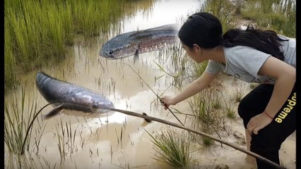 Net Fishing in Siem Reap Province - Simple Fishing in my Village - Net Fishing