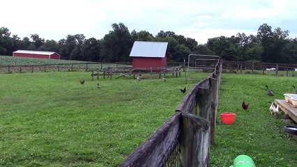 Une petite balade en file indienne !