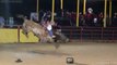 IMPACTANTE JARIPEO SALVAJE VALIENTES JINETES SE ENFRENTAN A TOROS MUY BRAVOS ESPUELA LIBRE