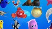 Aprender Mar animales y agua animales nombres y sonar oceano sonar para Niños vídeo pag