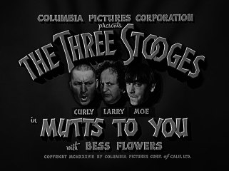 The Three Stooges S05E07 Mutts To You