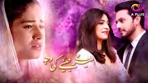 Meray Jeenay Ki Wajah Episode 65 in HD  Pakistani Dramas Online in HD