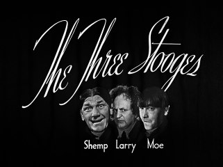 The Three Stooges S15E07 I'm A Monkey's Uncle