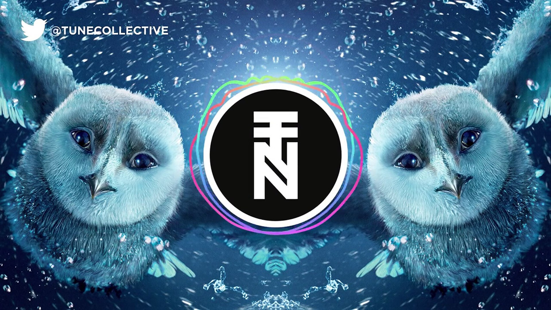 ⁣Harry Potter Hedwig Theme (Remix Maniacs Trap Remix)