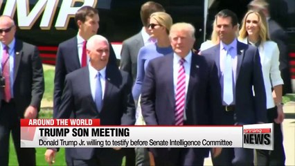 Trump's son met with Russian lawyer during election campaign