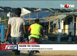 Puluhan TKI Ilegal Sembunyi di Hutan Malaysia Hindari Razia