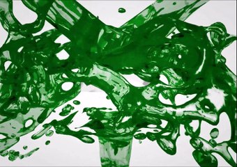 Auckland Carpet cleaning company