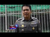 Kuil di Thailand Terbongkar Kedoknya Dalam Perdagangkan Satwa Liar yang Dilindungi - NET5