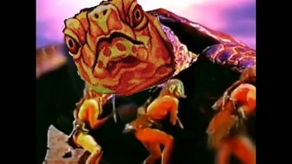 NLSS intro (Malcolm in the middle)